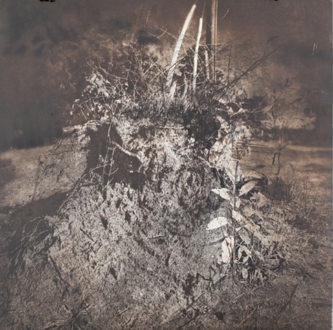 Suess Mounds, photogravure 18x18
