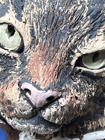 'Boy' close-up