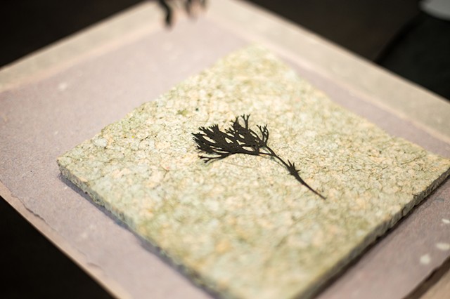 "De quelles couleurs seront les nuits"