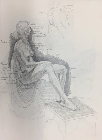 Life Drawing 
2019, Graphite on paper
24” x 18”
