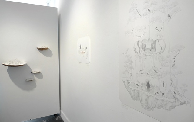 Installation view of 'Island Biogeography,' 'Caves' & 'The Old Magic'