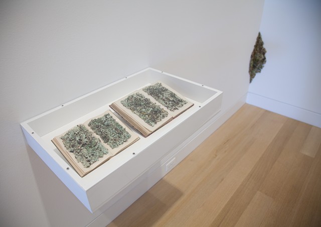 'New Kinds of Words III & IV' at the DePaul Art Museum with 'Encrustation (Lichen)' seen in the corner