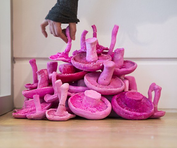 The artist installing 'Fungi for Fungi' at The DePaul Art Museum