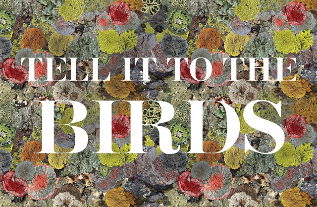 Verso of Field Guide for 'Tell it to the Birds'