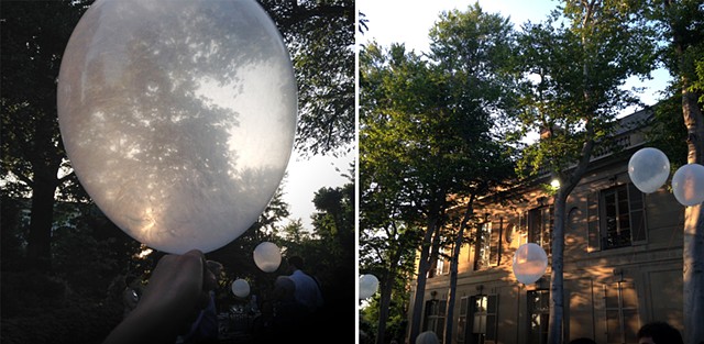 Milkweed Dispersal Balloons in Washington, DC