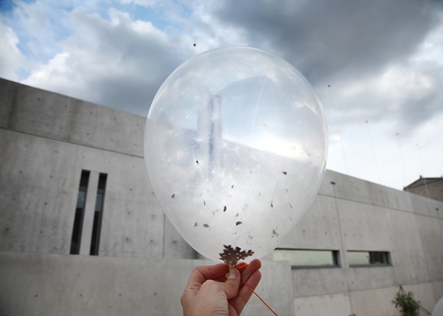 Milkweed Dispersal Balloons at the Pulitzer Arts Foundation
