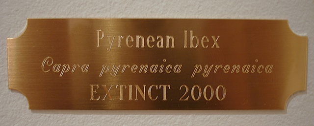 Detail of one of the museum-style plaques from the 'Extinction Portraits'