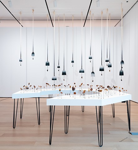 Whale Bells and Amber Archive as part of Hi-Vis