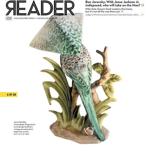 Camouflage (Disguise for Endangered Bird) I on cover of The Chicago Reader