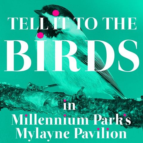Tell it to the Birds pop-up in Millennium Park