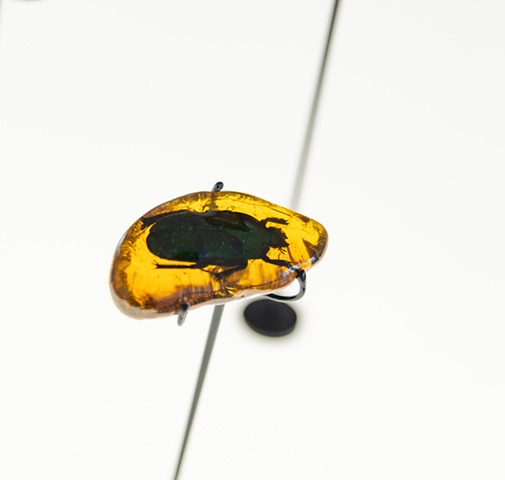 Detail from Amber Archive as part of Hi-Vis