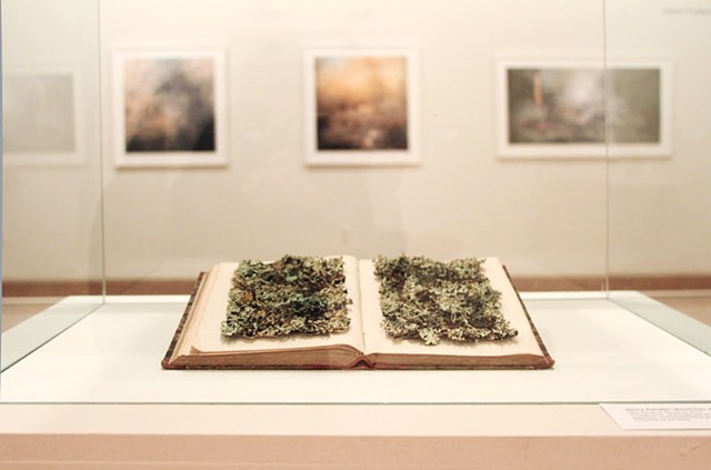 'New Kinds of Words III' at The Salina Art Center with Jane Fulton Alt's prairie burn photos behind