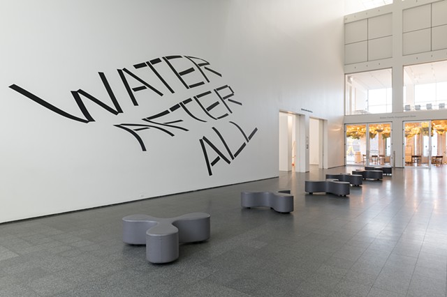 Water After All at the MCA Chicago