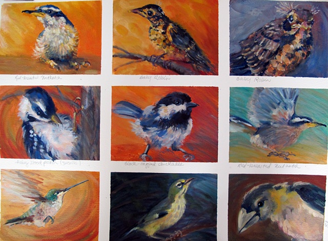 paintings of wild birds