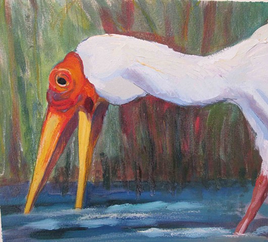 Yellow-billed stork: Detail from Wading birds of Uganda