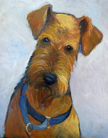 Gibson, Airedale Terrier