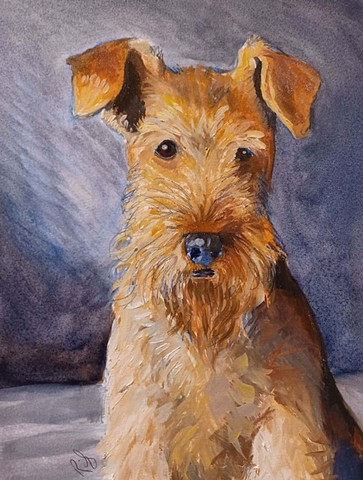 Gibson  (Airedale Terrier)