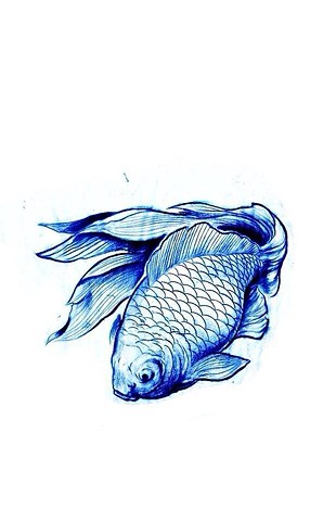 Goldfish sketch