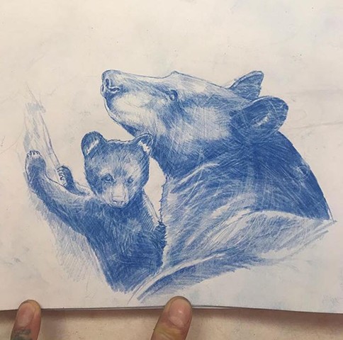 Da Bears