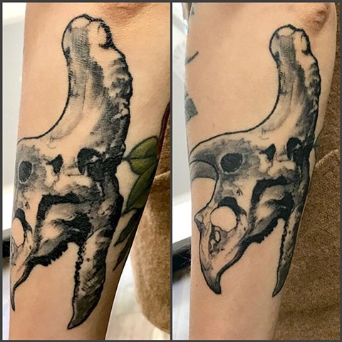 black and grey cool dinosaur semi realistic shaded outer arm tattoo
