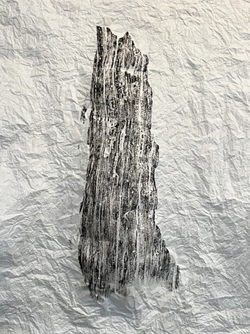 Print made off burned log. Remnant of the Log Fire/Bootleg Fire, 2021 Oregon, by Barbara Holmes