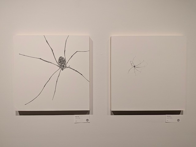 How are ya? and Anybody Home?