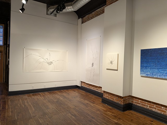 installation view