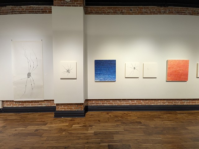 Back and Forth (installation view)