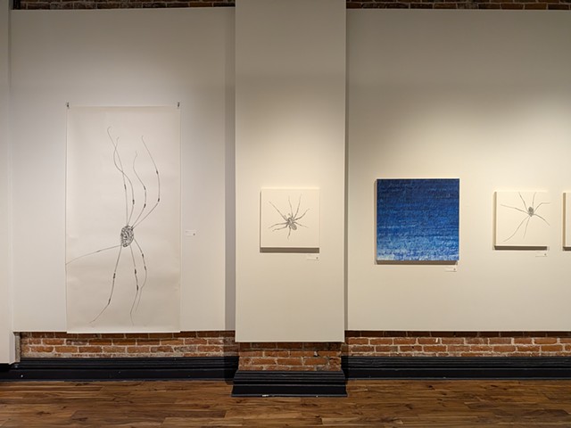 installation view
