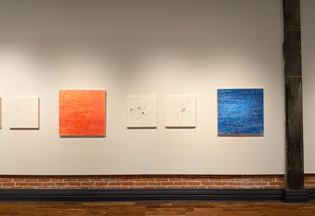 installation view