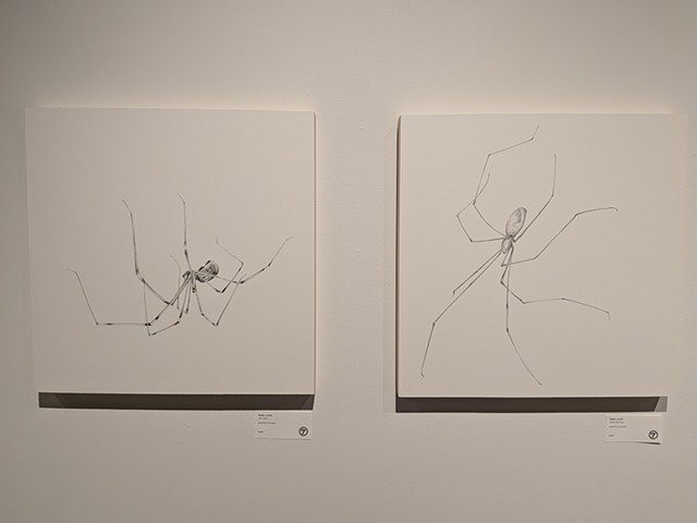 Good Morning and Nice to See you