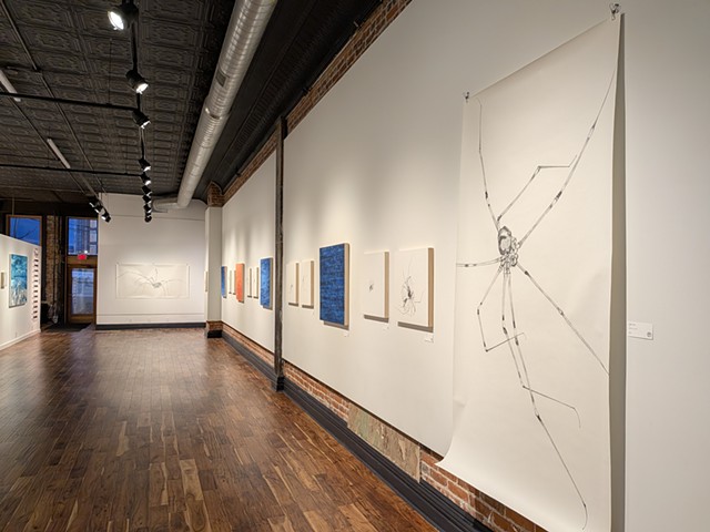Back and Forth (installation view)