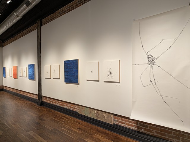 Back and Forth (installation view)