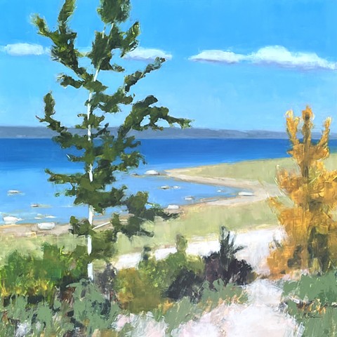 oil paintings
