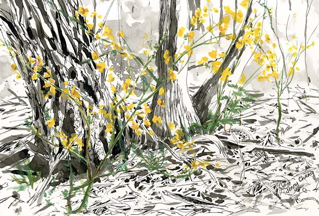 Peeling bark, tree, wildflower, bush, pen and ink wash, vintage, illustration