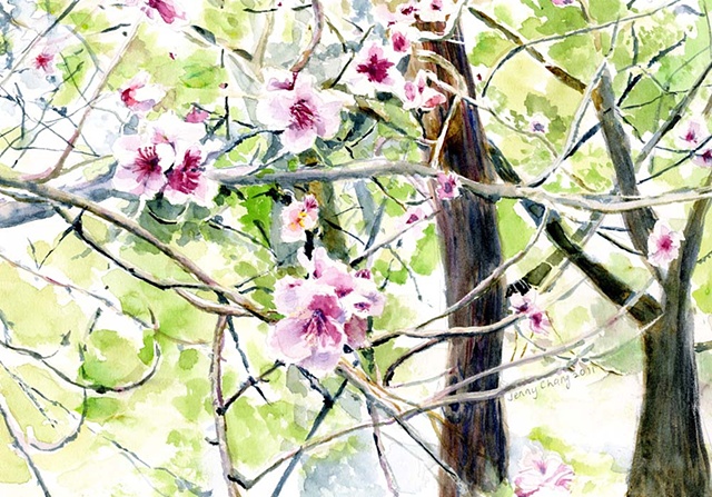 pink, blossom, flowers, branches,  trees, watercolour, illustration