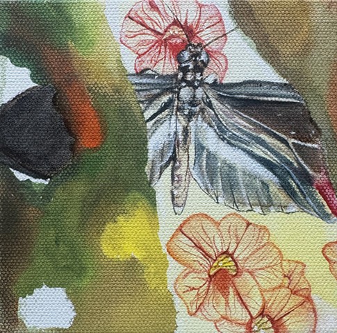 Painting Around the Edges