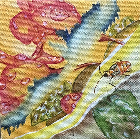 Bolstering Light Between Hydrated Halcyon Gems, the Milkweed Bug Skates 