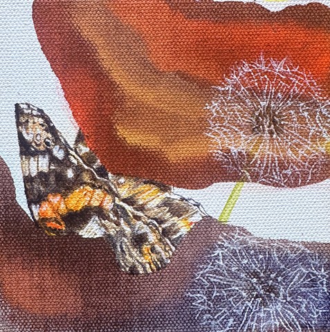 The Strength of the Butterfly Mirrored in The Wishes of the Dandelion of the Dandelion