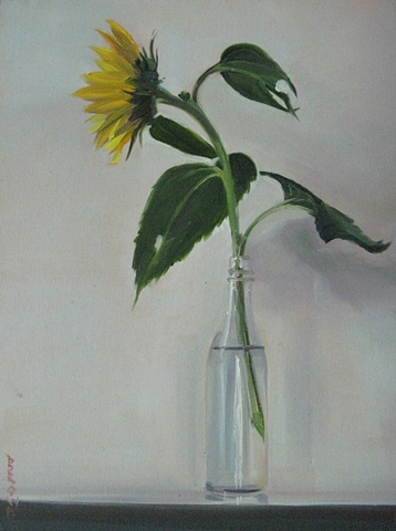 Jo Brown, Sunflower II, (© 2010) oil on archival canvas board