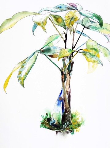 watercolor by Qing Song