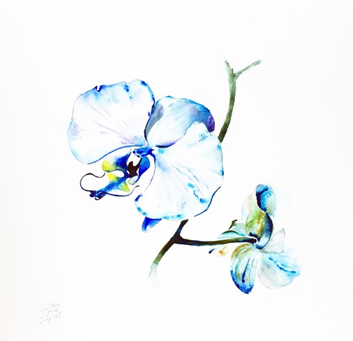 Watercolor Painting by Qing Song, Orchid