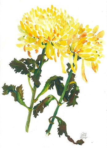 Watercolor Painting by Qing Song, Chrysanthemum, Flower