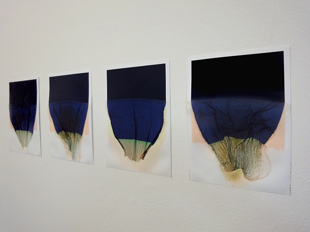 Untitled (Release 1 series), installation view)