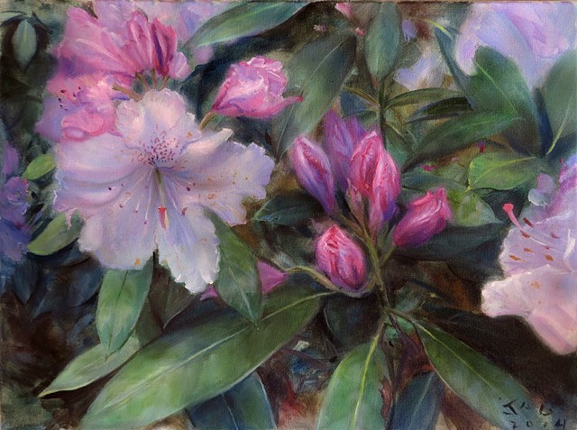 Rhododendrons 1
