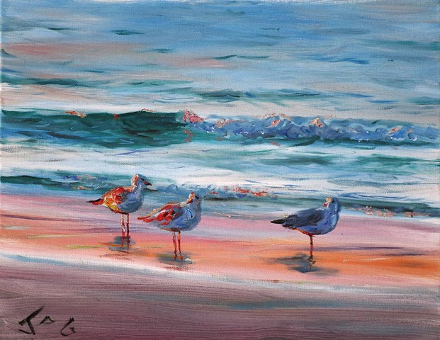 Three Gulls 2