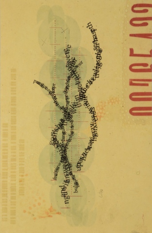 A Poet's Chromosomes