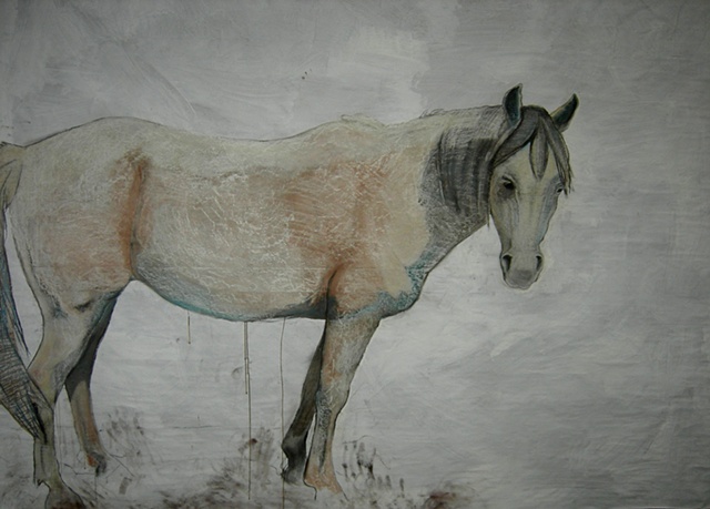 life-size painting of white horse by Eugenia Mitsanas