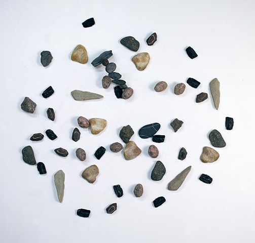 Animal Tracks