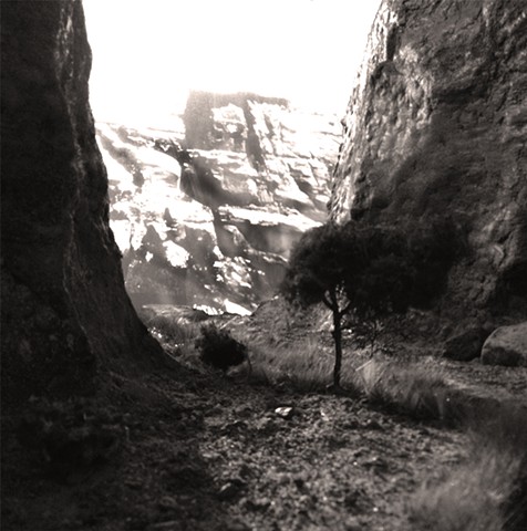 Canyon Diorama 